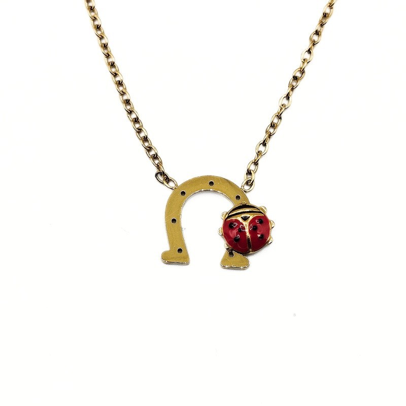 collana in acciaio con ferro di cavallo e coccinella mod. pdd00257f [f07b4ac4]
