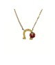 collana in acciaio con ferro di cavallo e coccinella mod. pdd00257f [f07b4ac4]