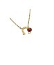 collana in acciaio con ferro di cavallo e coccinella mod. pdd00257f [295d09c9]